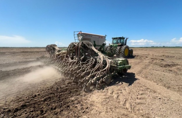 Semeadura do arroz chega a 61,08% no Rio Grande do Sul