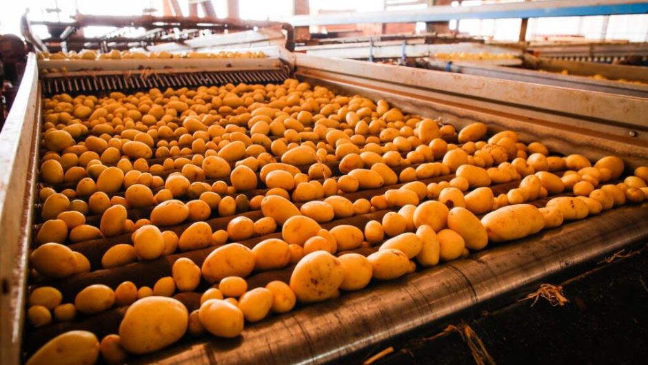 Foto:&nbsp;Wenderson Araújo