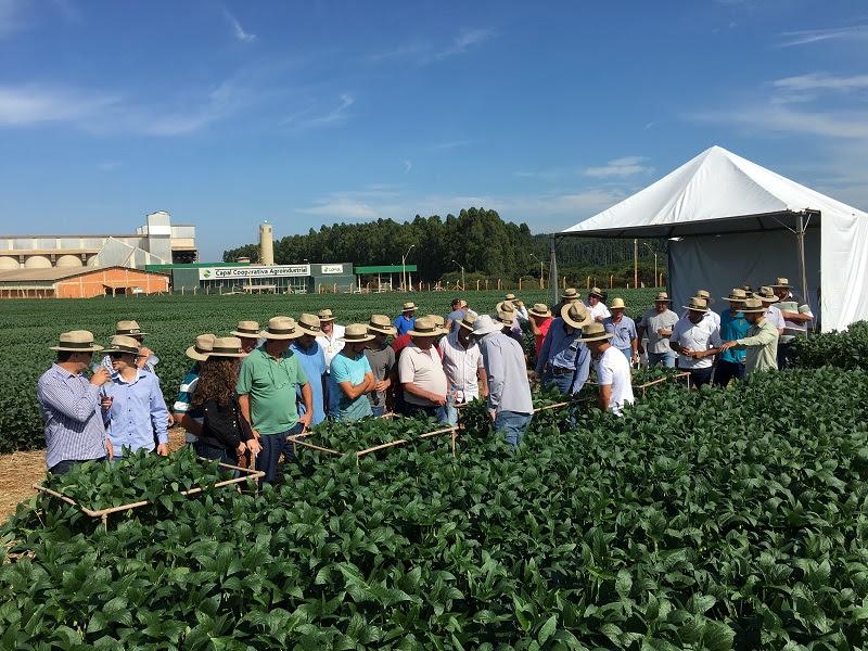 Tec Campo 2019 acontece no PR e SP