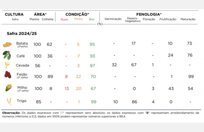 PR Safra 2024/25: excesso de umidade afeta lavouras