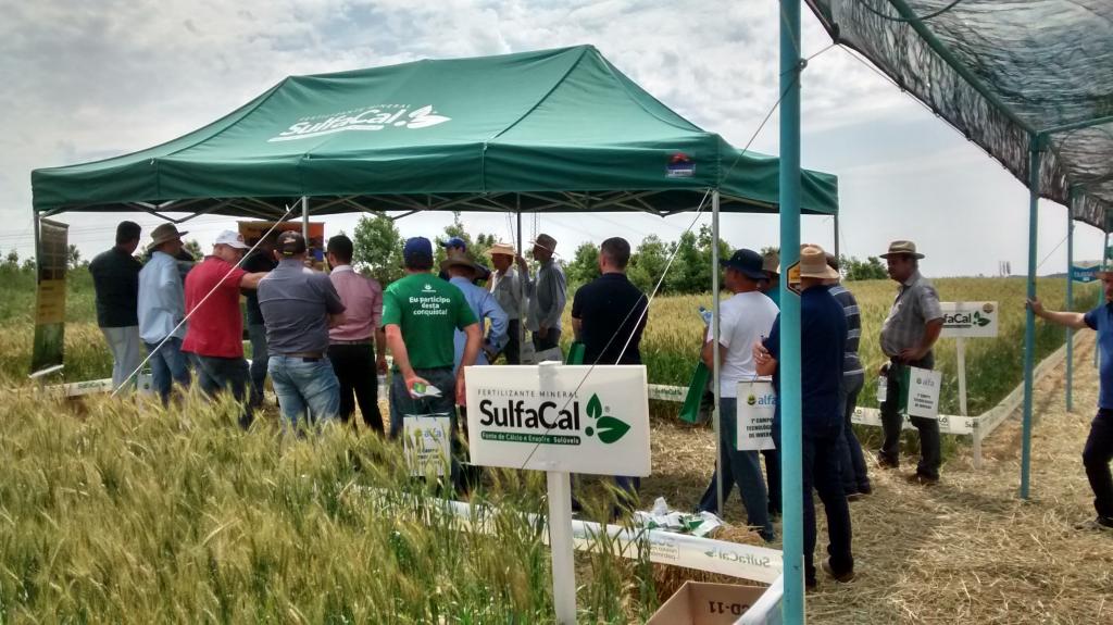 Nutrição do solo será tema de Dia de Campo da Cooperalfa em Erechim, RS