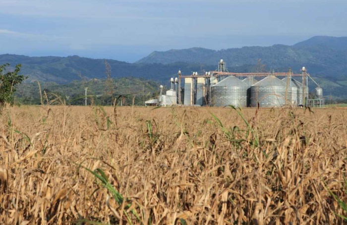 Agroindústria tem leve alta de 1% em abril, revela FGVAgro