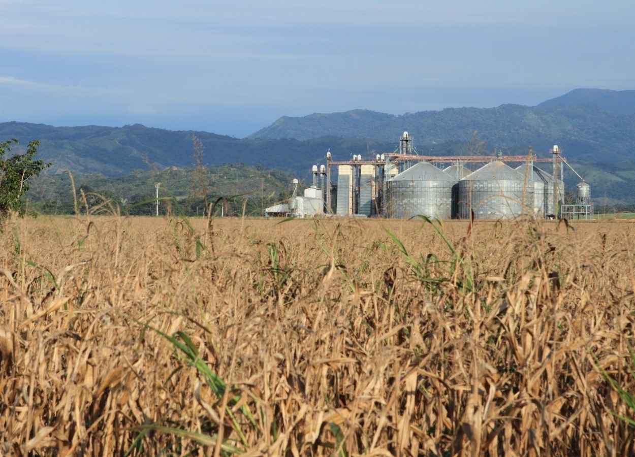 Agroindústria tem leve alta de 1% em abril, revela FGVAgro