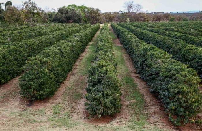 São Paulo deve manter chuvas até abril, aponta Secretaria