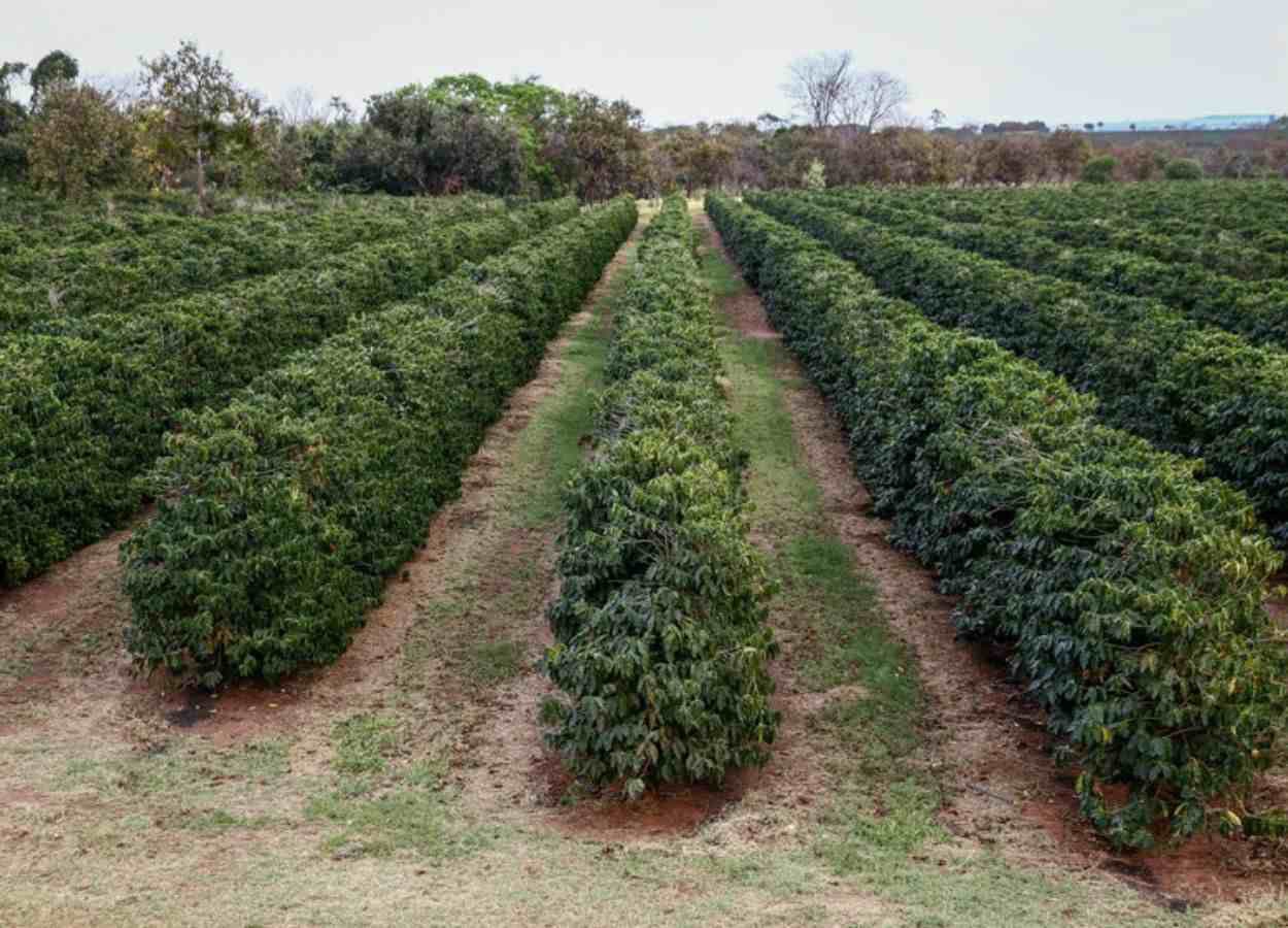 São Paulo deve manter chuvas até abril, aponta Secretaria