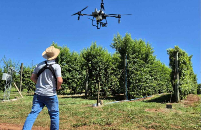 Epagri estuda técnicas de pulverização de pomares com drone