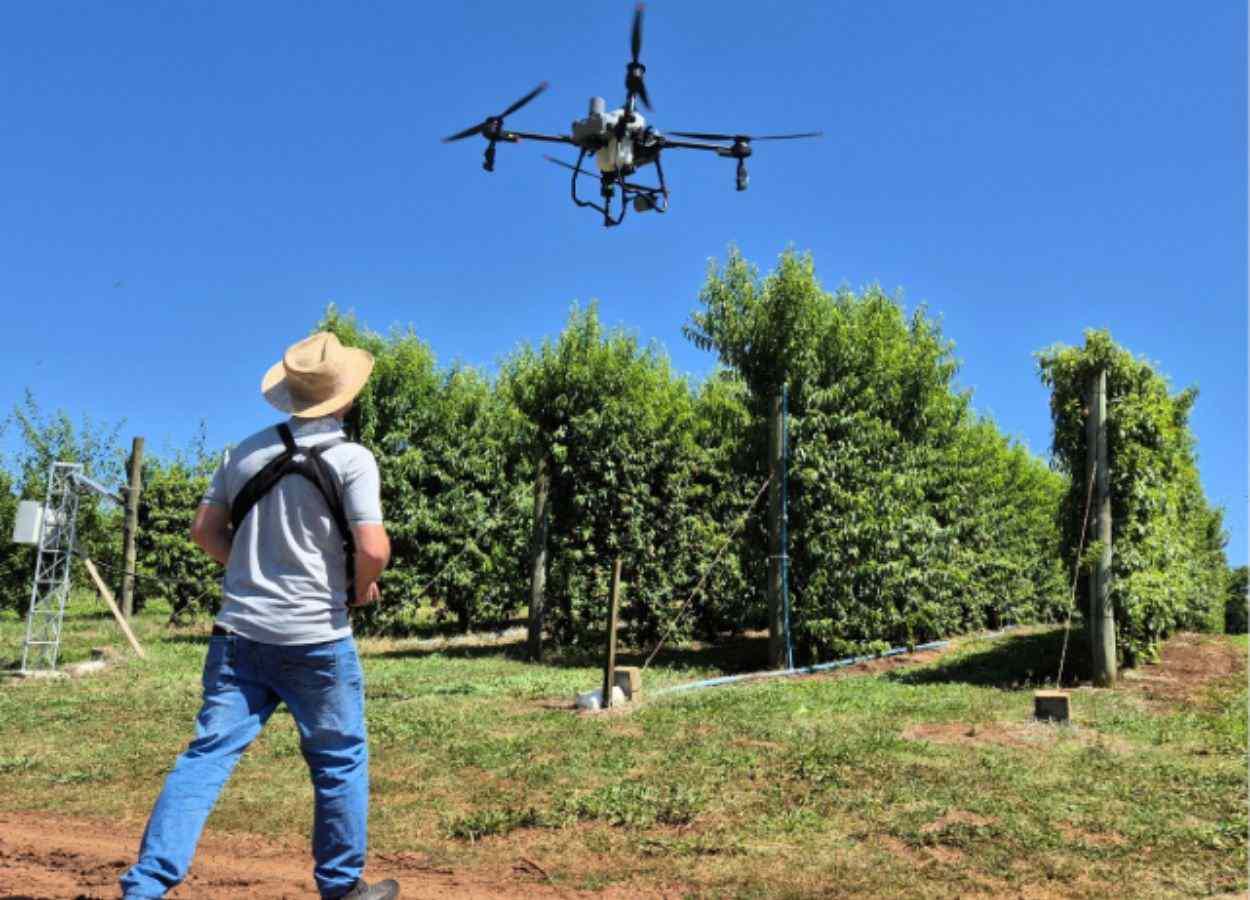 Epagri estuda técnicas de pulverização de pomares com drone