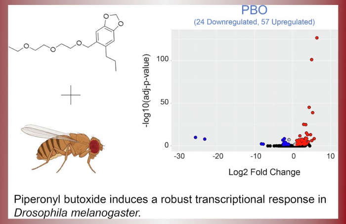 Exposição de "Drosophila melanogaster" a piperonil butóxido gera resposta transcricional robusta