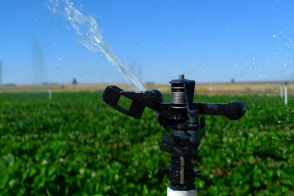 Desempenho de aspersores na irrigação