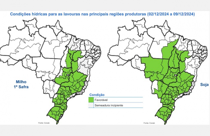 Conab aponta bom desenvolvimento da soja