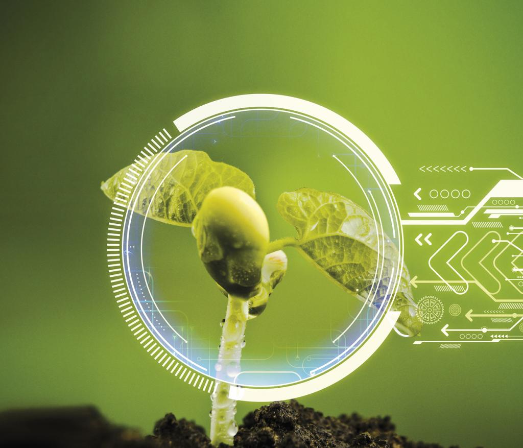 ​Terra Forte é a nova solução da Ourofino Agrociência