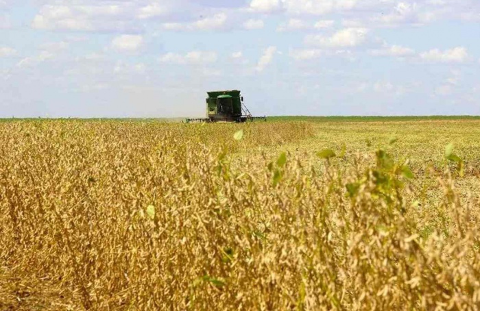 Exportações do Paraná crescem 5,5% até setembro
