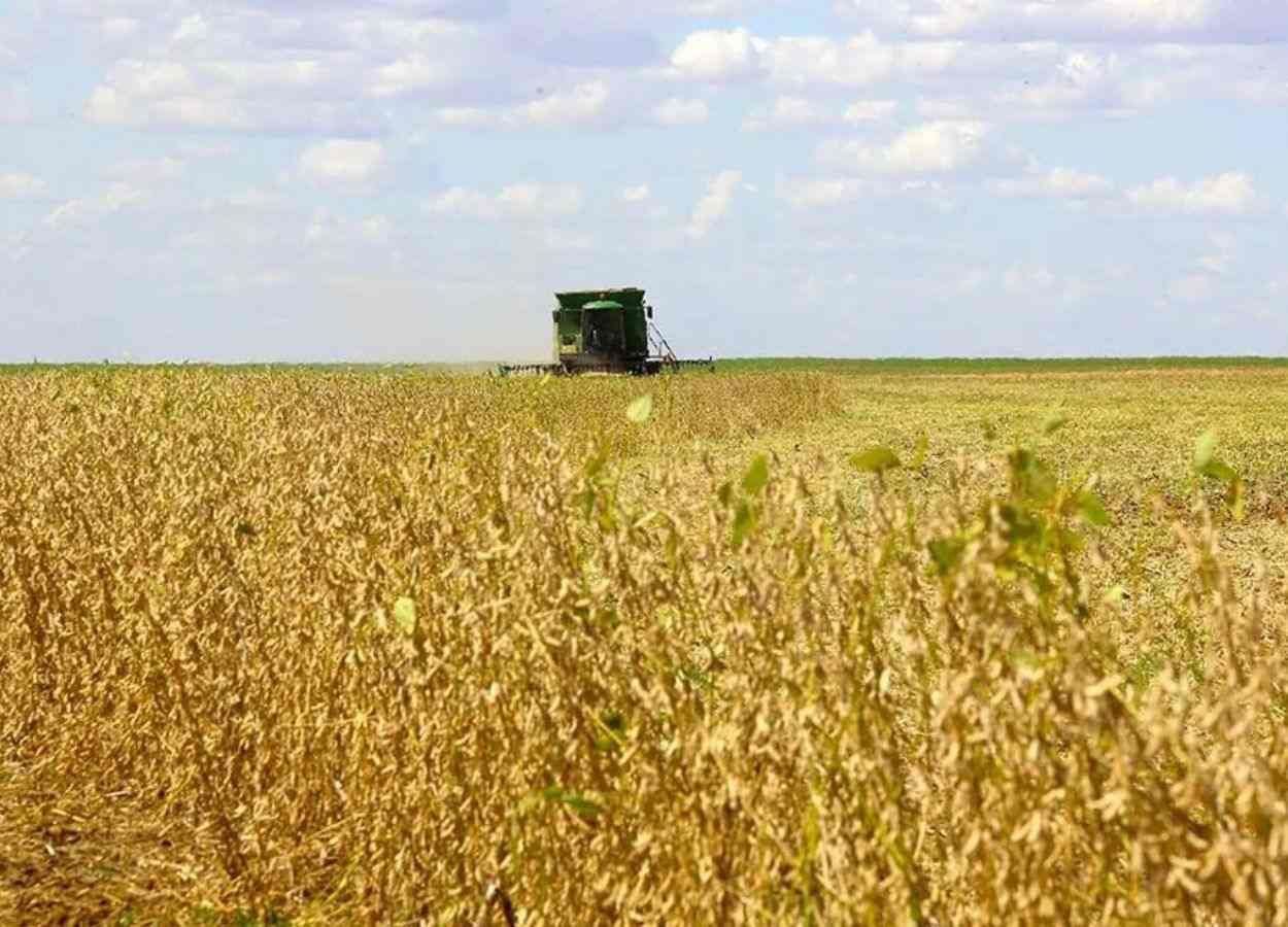 Exportações do Paraná crescem 5,5% até setembro