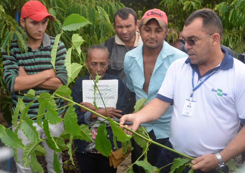 Produtores participam de curso sobre qualidade do café