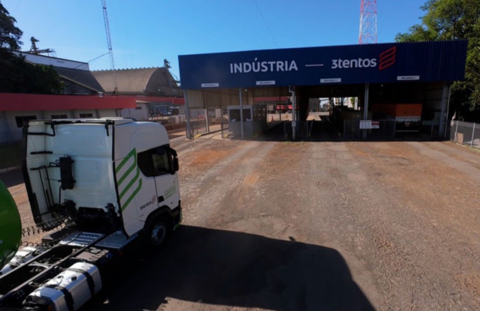 3tentos inicia processamento de canola no Rio Grande do Sul