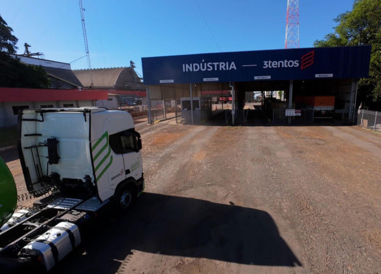 3tentos inicia processamento de canola no Rio Grande do Sul