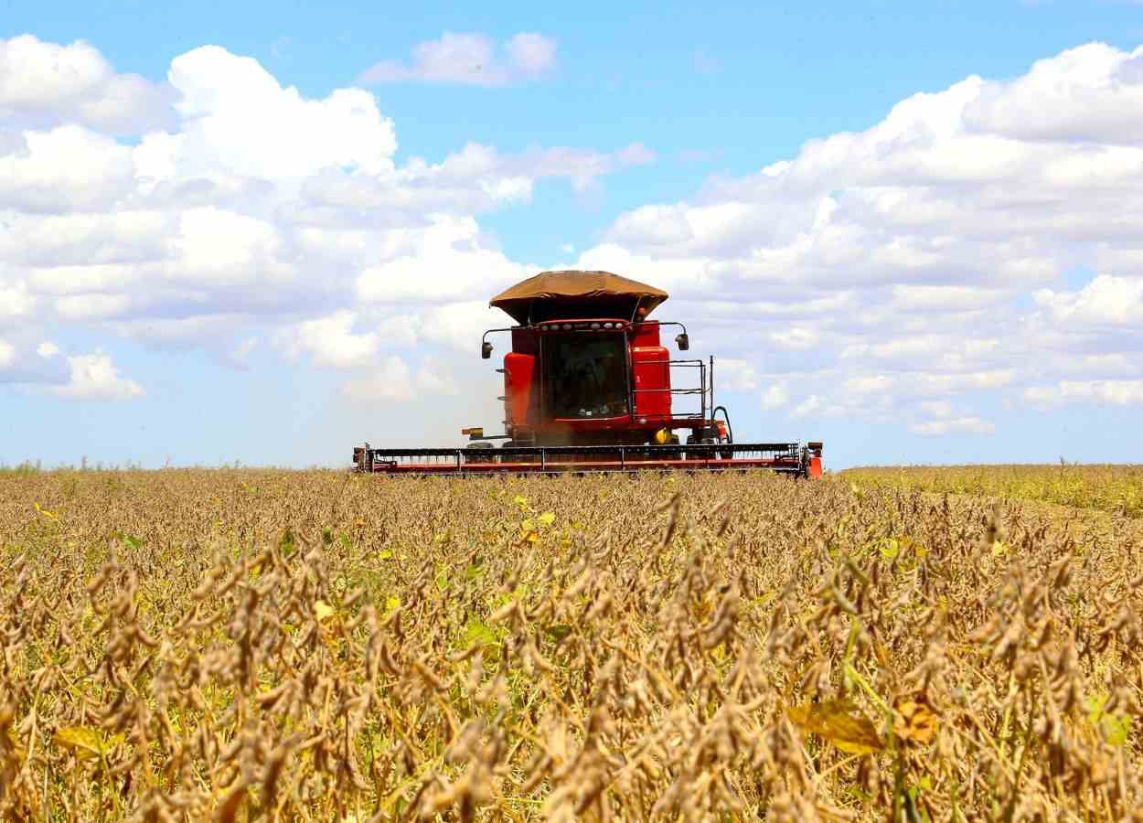Volume é estimado pelo Deral em 21,75 milhões de toneladas; colheita está quase concluída