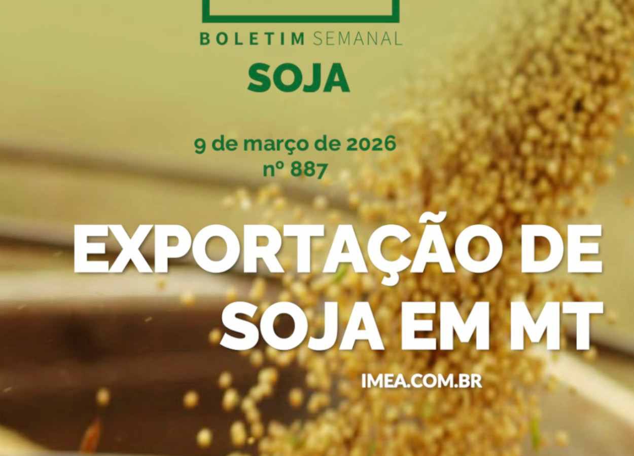 MT Safra 2025/26: aceleram vendas de soja, milho e algodão