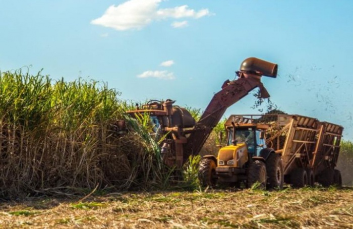 São Paulo lança plataforma digital para conectar o ecossistema do biometano