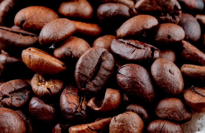 Exportações de café recuam com menor oferta e tarifas