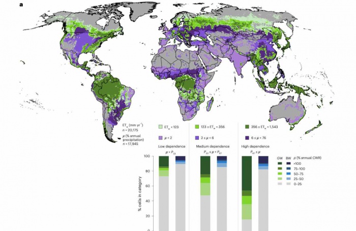 Florestas ajudam a sustentar 30% das exportações agrícolas globais