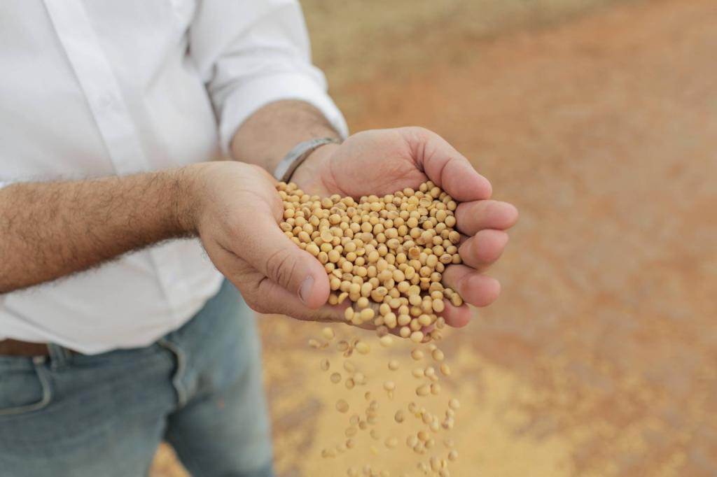 Bayer expõe lançamento para soja na 19º Expoagro Afubra