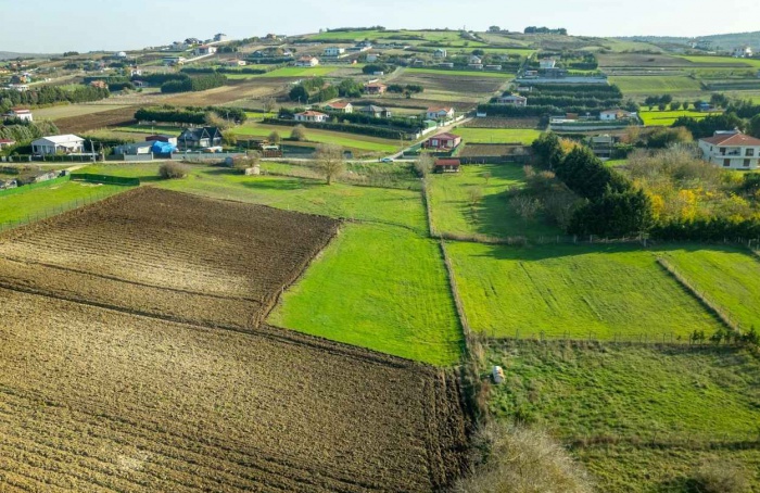 CMN prorroga prazos para exigência ambiental no crédito rural