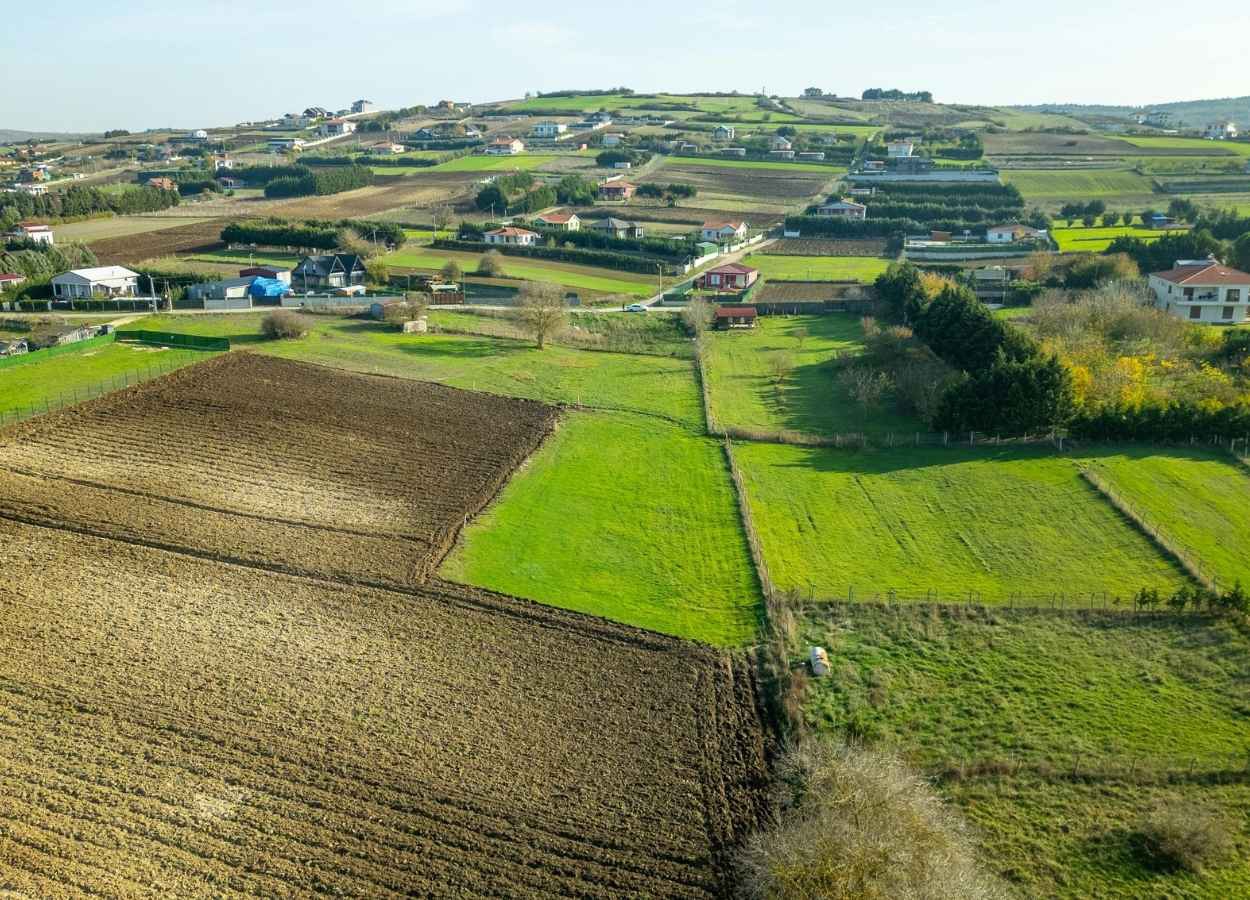Medida é resultado de articulações da CNA e Farsul