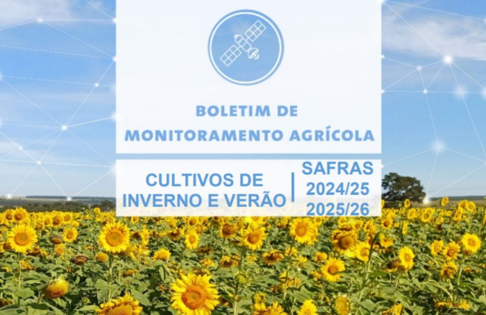 Chuvas irregulares atrasam semeadura dos cultivos de verão