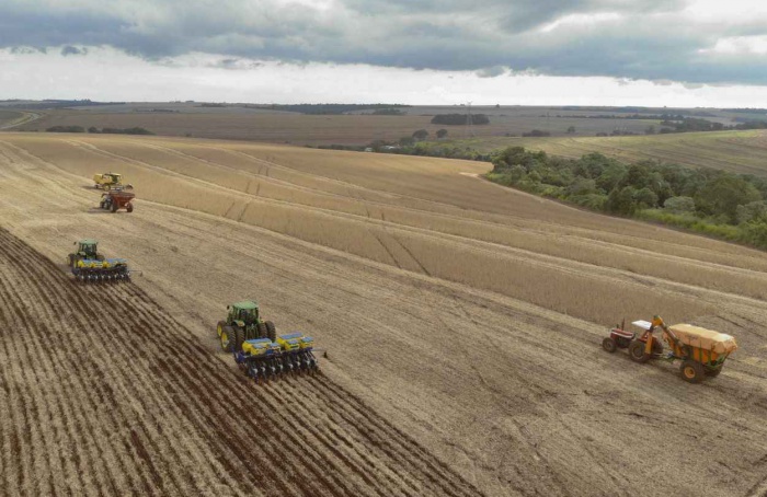 Com fim do vazio sanitário, Paraná inicia plantio de soja em 5,8 milhões de hectares