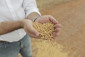 Programas de fidelização crescem no Brasil e Bayer leva tendência ao campo