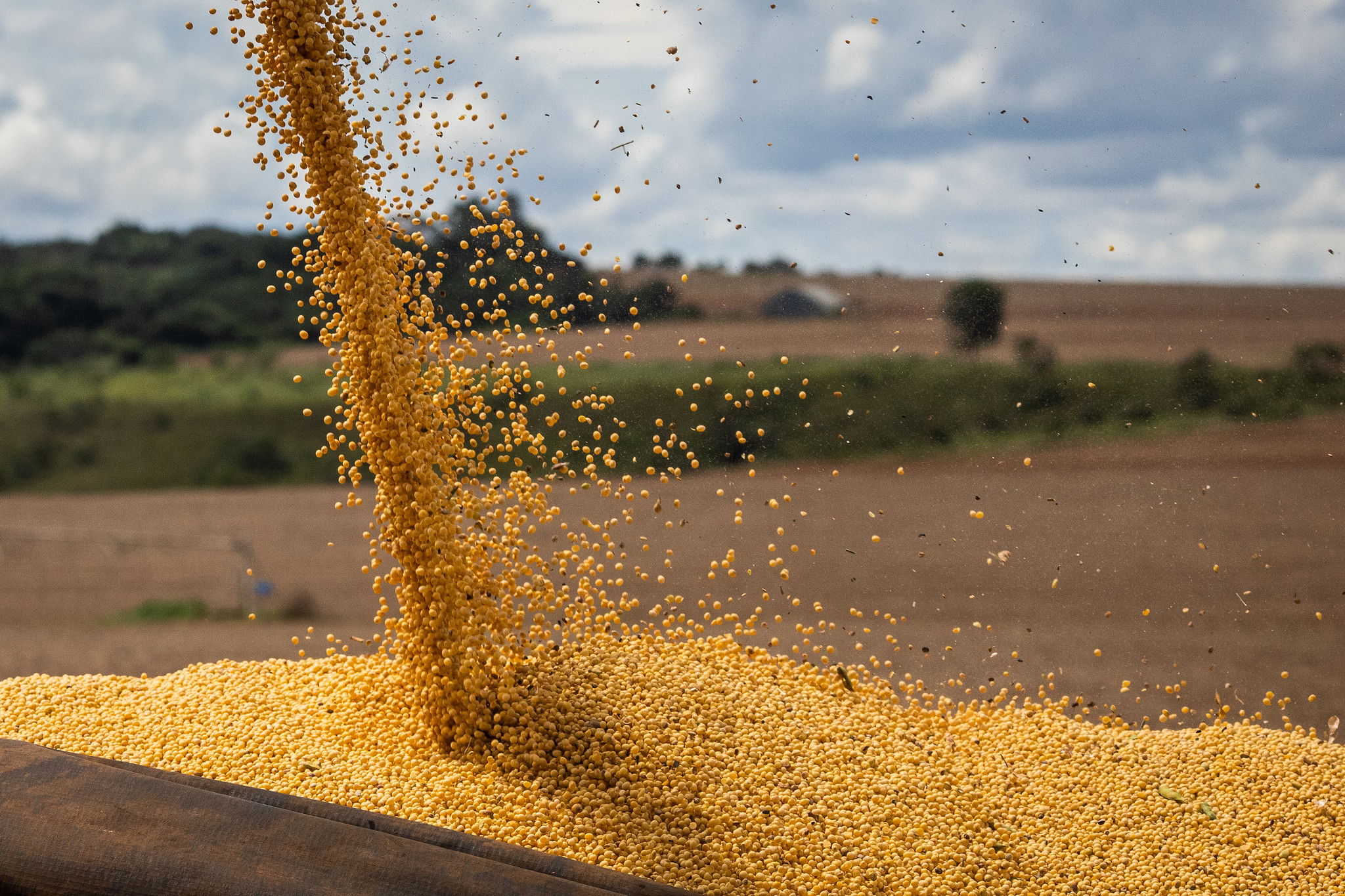 Produção de grãos é recorde na safra 2021/22, aponta Conab
