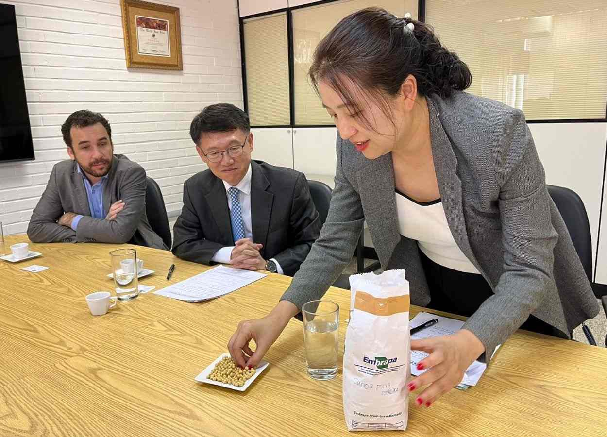 Soja brasileira será testada na Coreia do Sul para fabricação de produtos alimentícios