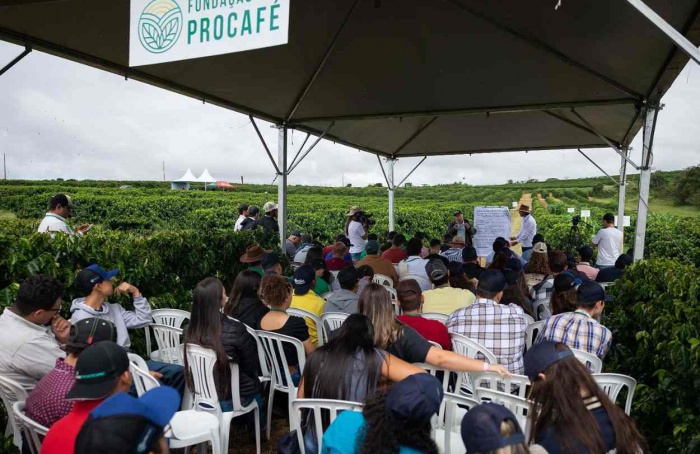 Procafé Foundation Field Day in Franca will show the efficiency of using drones in the coffee plantation