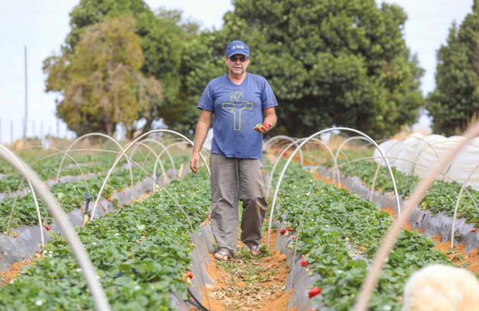 Distrito Federal reduz custo de licenciamento ambiental para o setor agropecuário