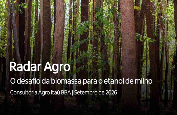 Biomassa vira desafio para expansão do etanol de milho