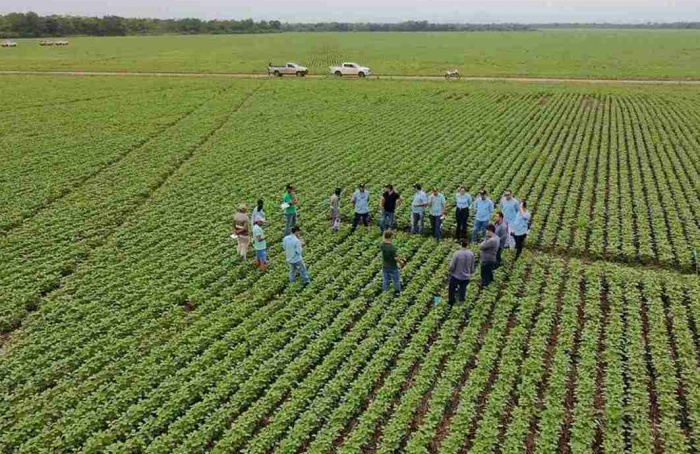 Sumitomo Chemical amplia Expedição da Produtividade