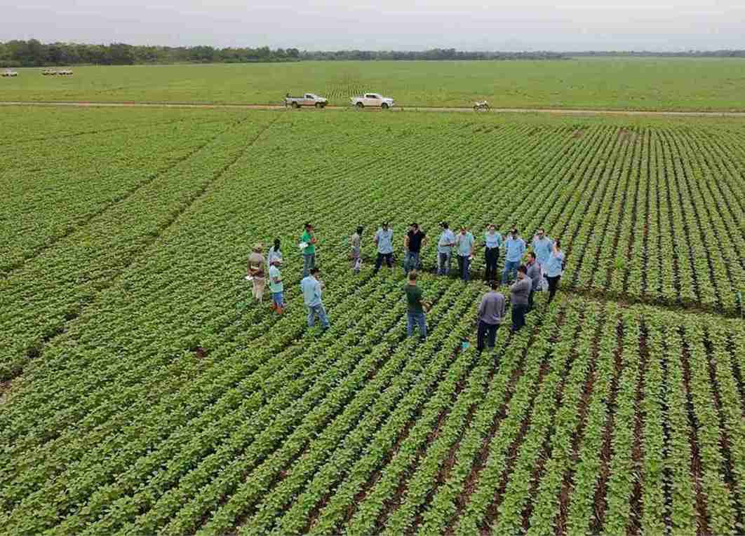 Sumitomo Chemical amplia Expedição da Produtividade