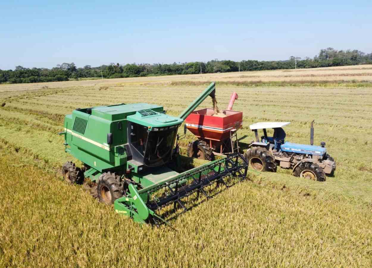 Colheita do arroz atinge 85,7% da área semeada no RS