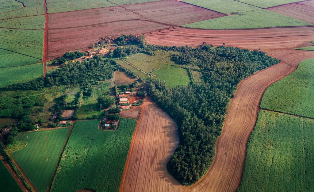 Museu da Cana realiza programa educativo de preservação do patrimônio ambiental