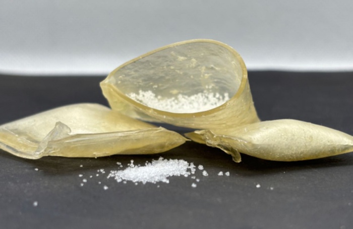 Pesquisadores criam sachê biodegradável para adubação eficiente