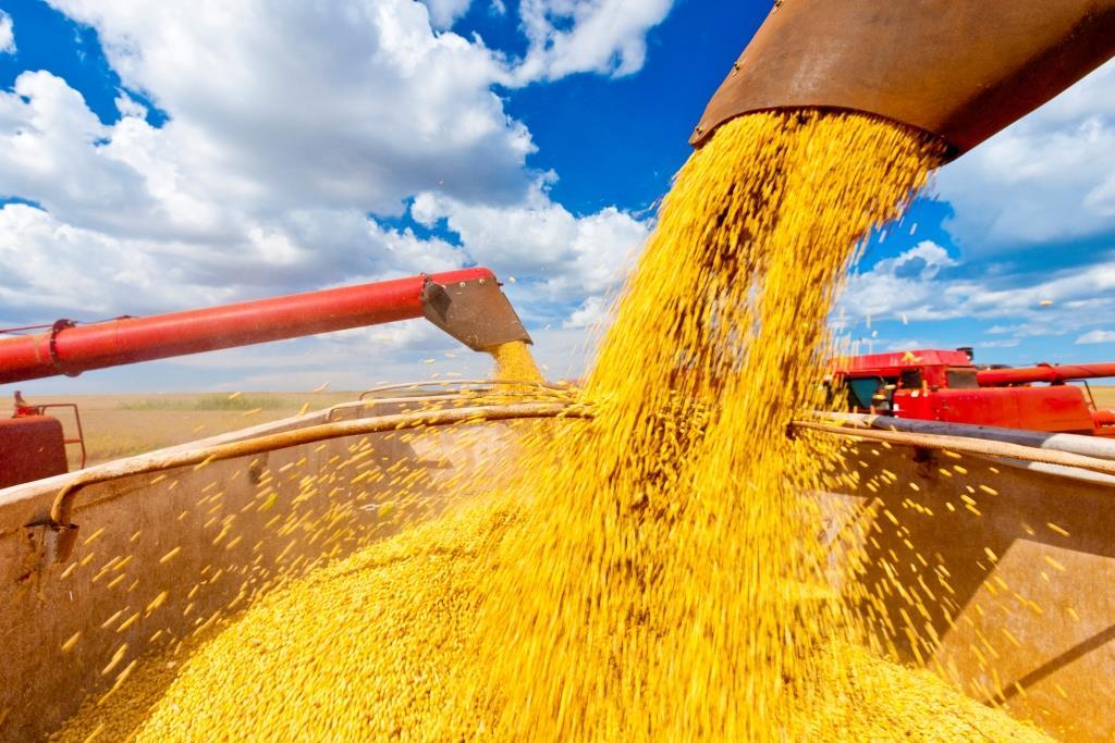 Espaço Ciência e Tecnologia no SuperAgro destacará da produção à gestão da propriedade