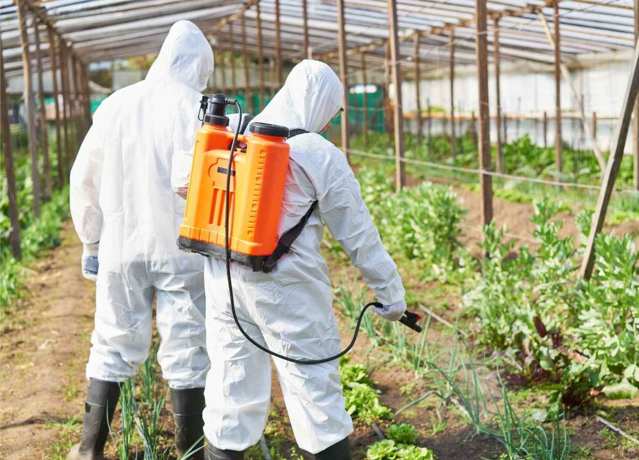 Projeto capacita produtores sobre uso de defensivos em SP