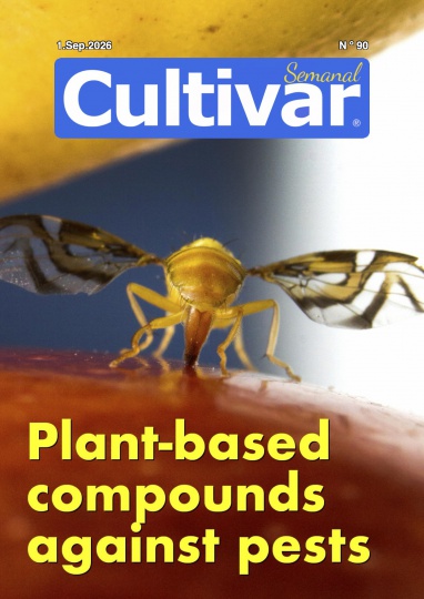 Cultivar Semanal 90