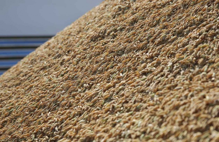Federarroz recomenda adesão ao contrato público do arroz