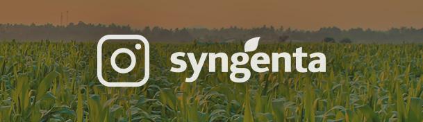 Syngenta inaugura perfil no Instagram