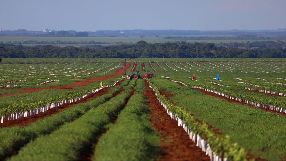 Foto:&nbsp;Álvaro Rezende