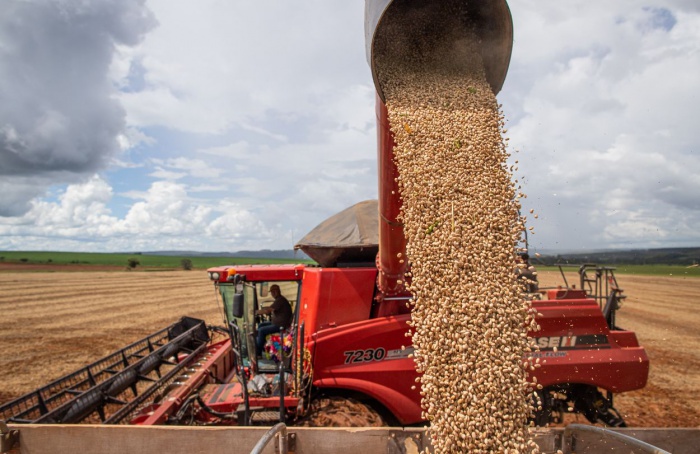 Capacidade de processamento de oleaginosas supera 72 milhões de toneladas em 2024