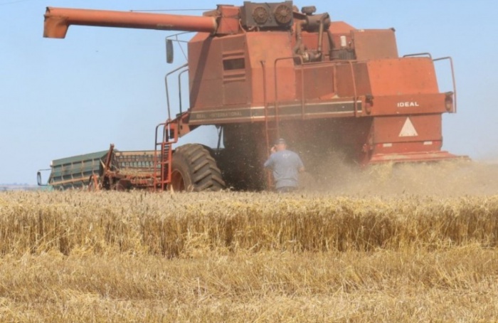 Colheita do trigo alcança 29% no Rio Grande do Sul