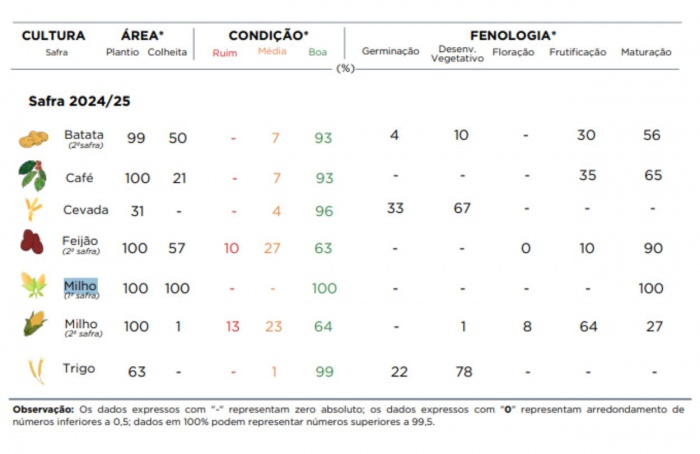 PR Safra 2024/25: geadas e pragas afetam colheitas no estado